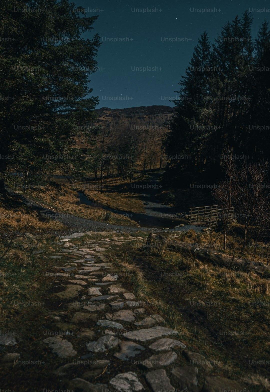 A worn footpath stretching toward the horizon through open countryside