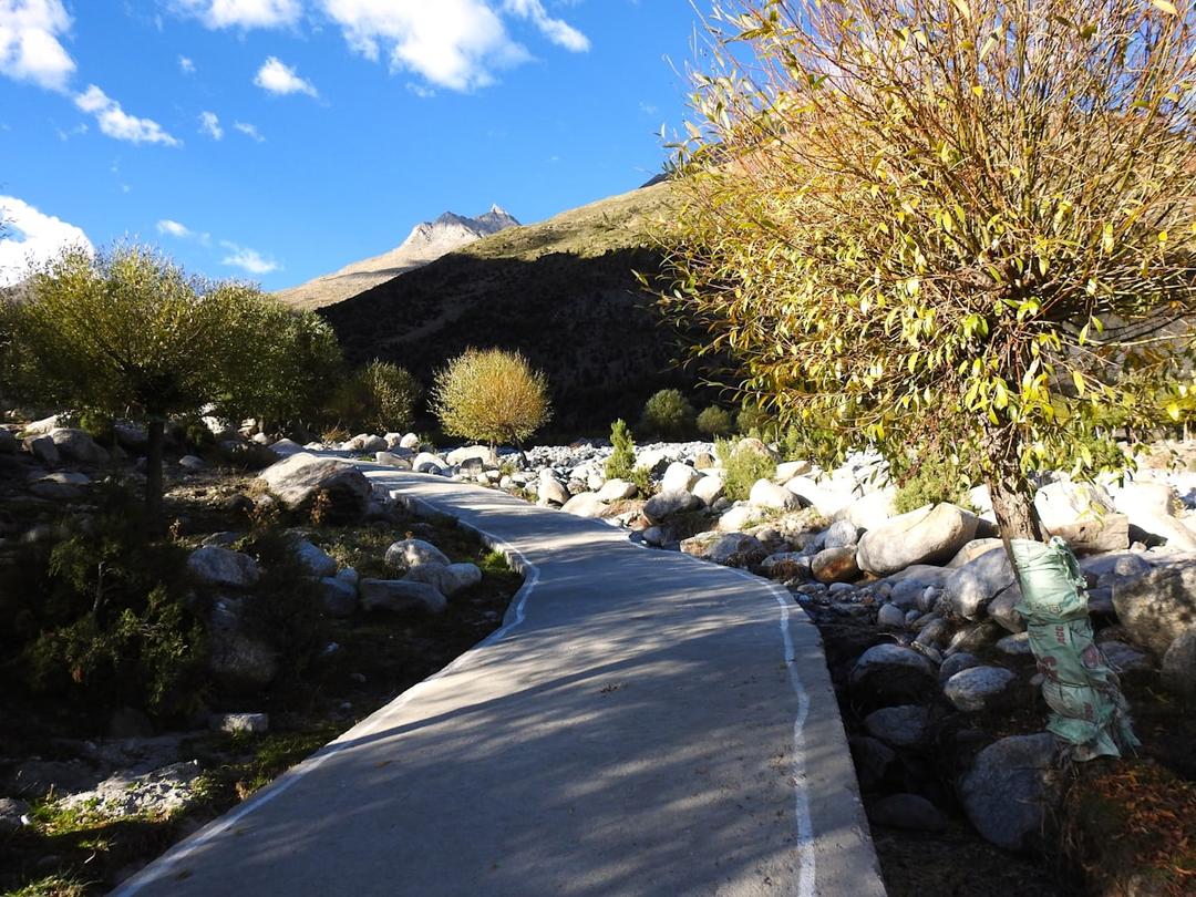 A pilgrim's path winding uphill through open countryside toward a distant summit