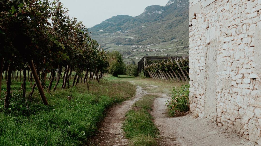 Rolling Tuscan hills along the historic Via Francigena pilgrimage route to Rome