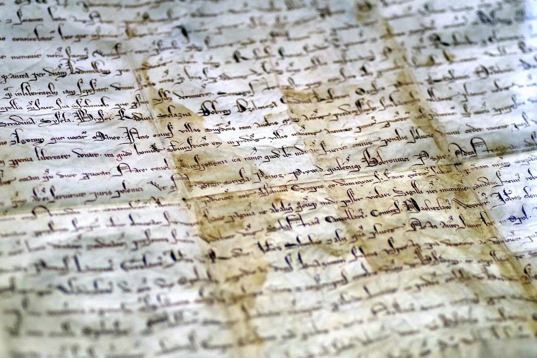 document, parchment, the middle ages, ducal, royal, history, old times, manuscript, europe, poland, silesia, parchment, parchment, parchment, parchment, history, history, history, manuscript, manuscript, manuscript, manuscript, manuscript